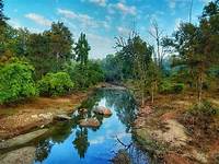 12 Things You Must Know Before Visiting Kanha National Park