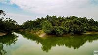 Sundarbans National Park - Best Time To Visit | Indian National Parks ...