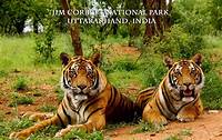 Jim Corbett National Park | Beautiful Places